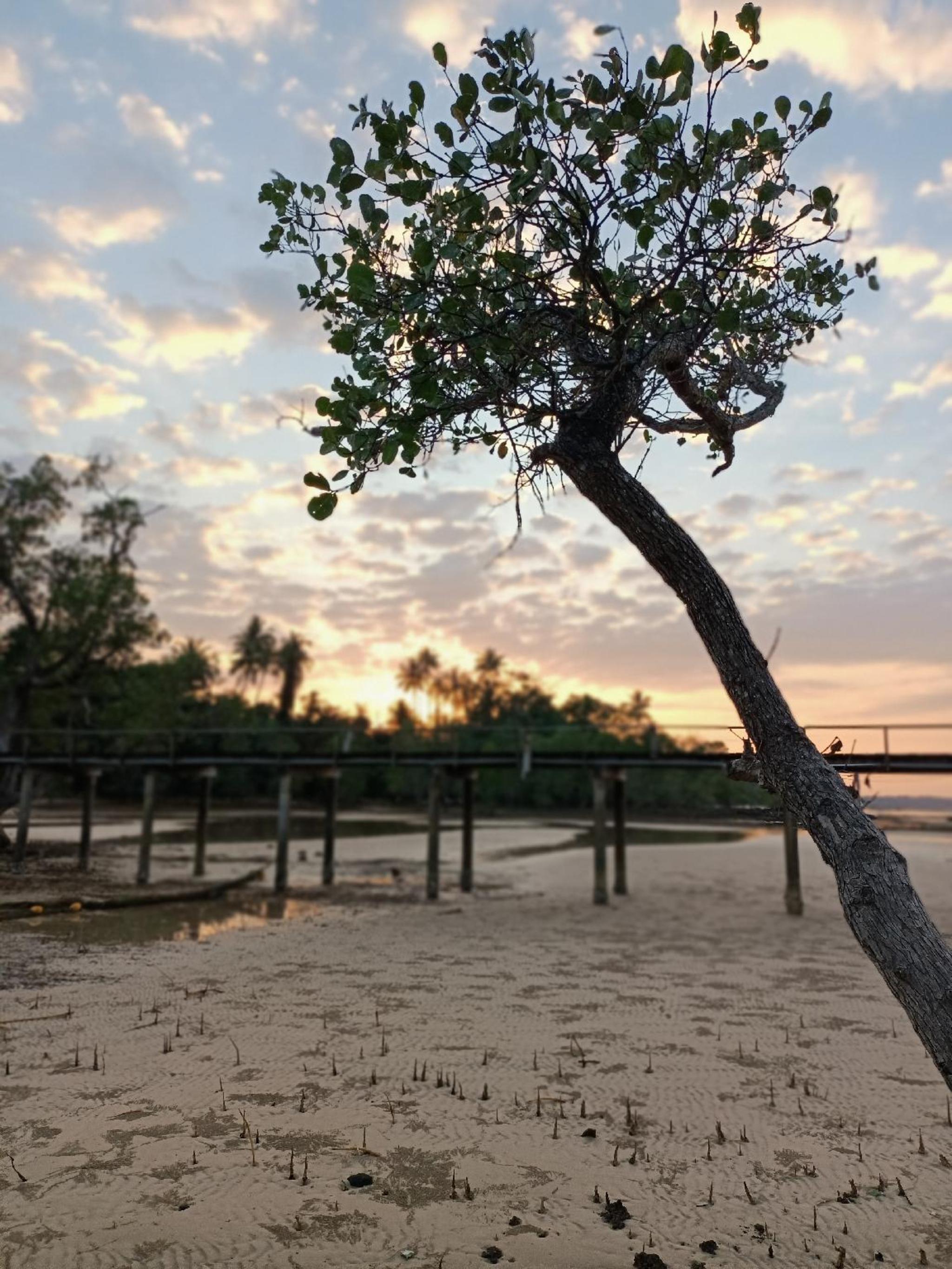 The Cinnamon Art Resort And Spa 20/22