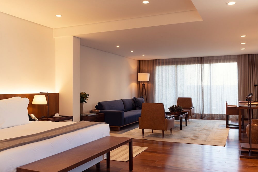Hotel Fasano Belo Horizonte 15/67