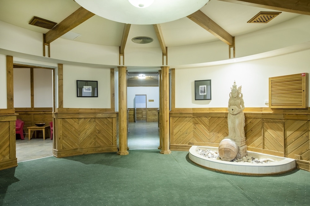 Pirin Golf Hotel & Spa 41/75
