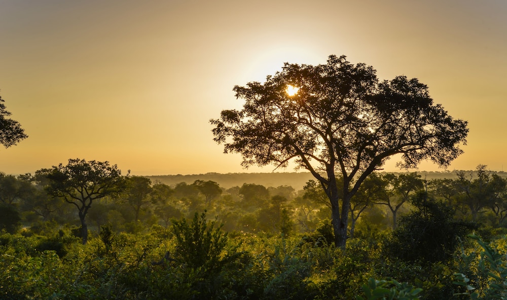 Lion Sands Kruger National Park 33/50