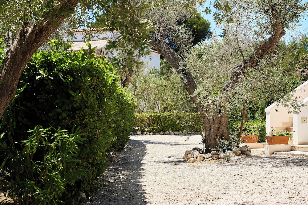 Tenuta Belvedere 45/50