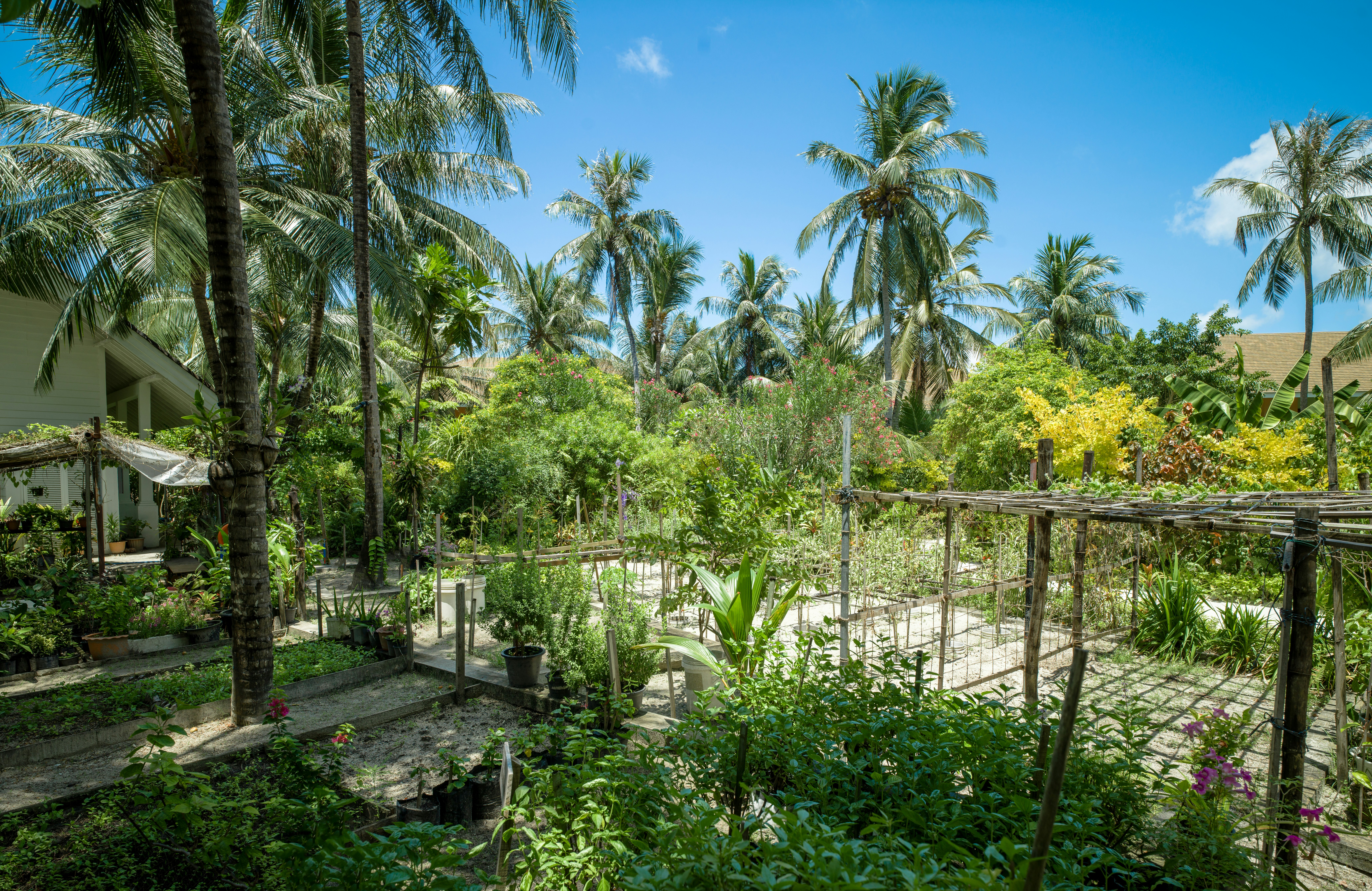SAii Lagoon Maldives, Curio Collection by Hilton 31/39