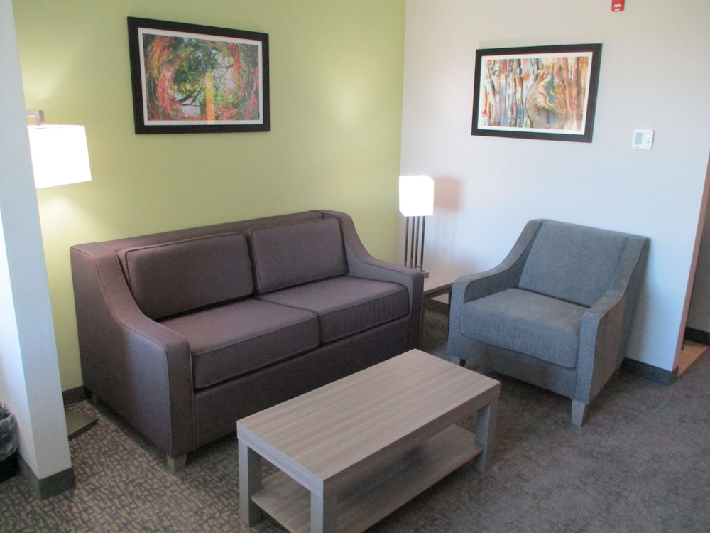 La Quinta Inn & Suites by Wyndham Jackson/Cape Girardeau 28/51