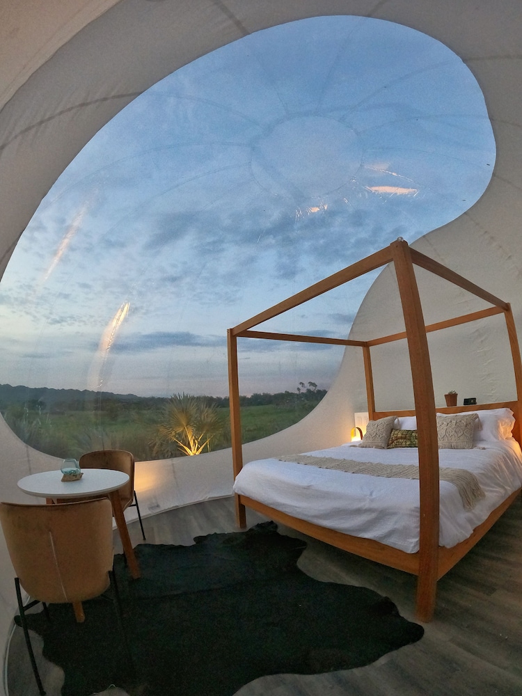 Green Land Bubble Glamping 34/60