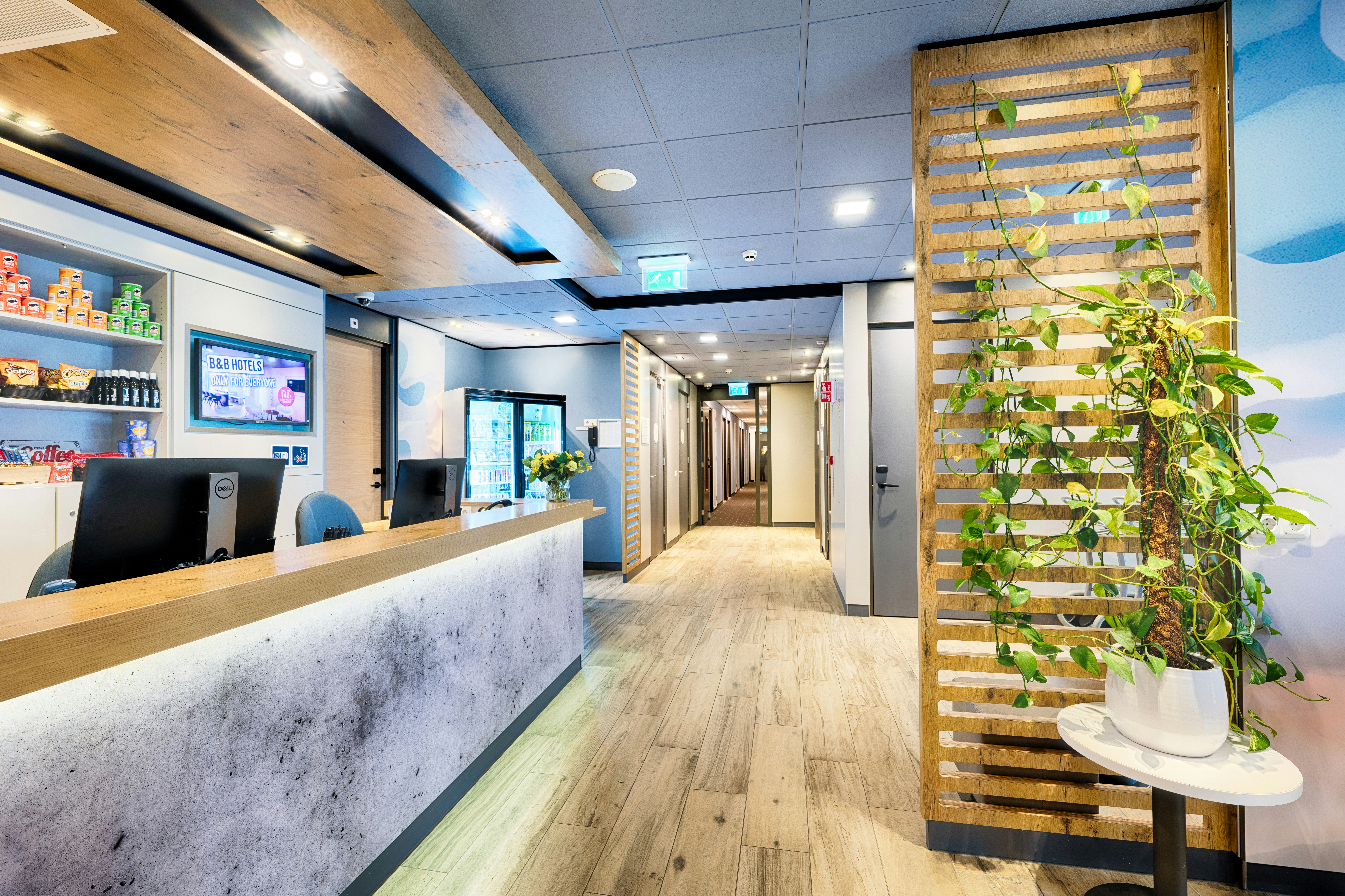 B B Hotel Amsterdam Zaandam 19/50