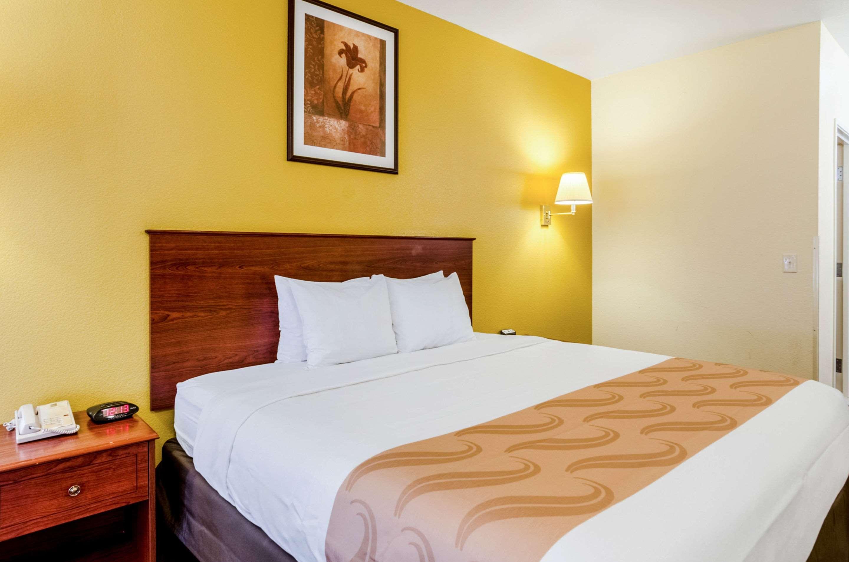 Room, King Bed