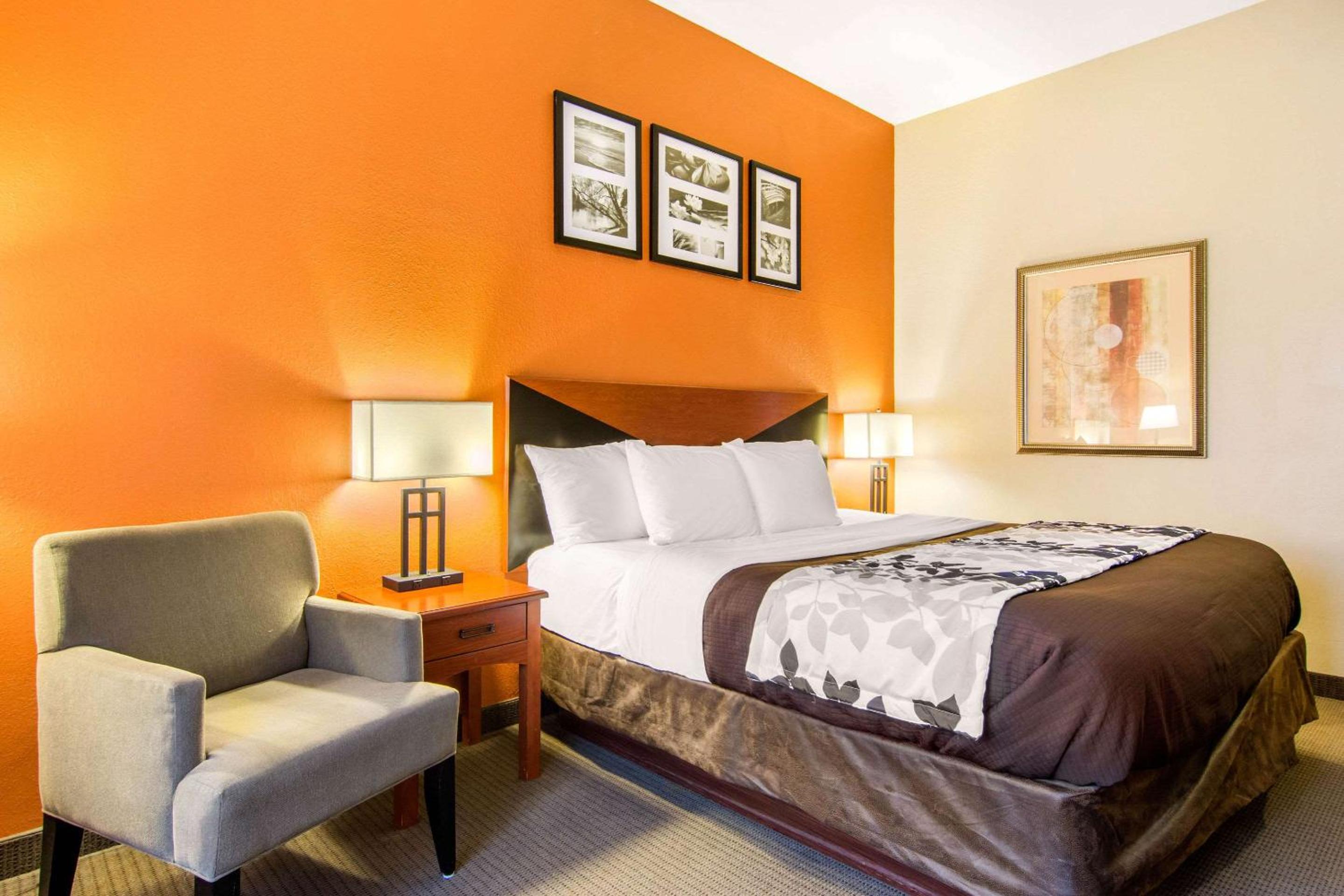 Room, King Bed, Pet Friendly, Sleep Inn & Suites Athens South 4/7