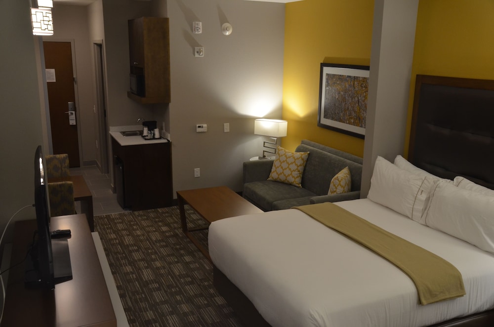 Holiday Inn Express Hotel And Suites Albany 20/67