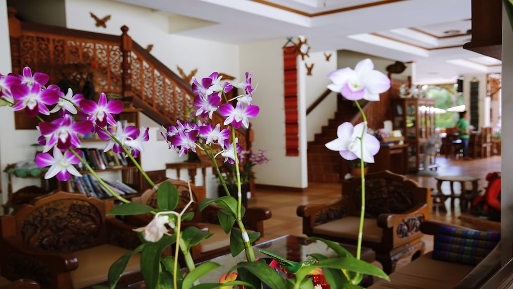 The Orchid House 45/50