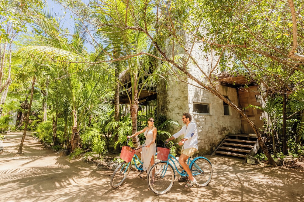 Vida Silvestre Tulum 39/50