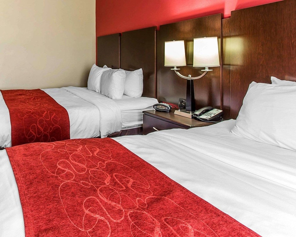 Comfort Suites Stockbridge Atlanta South 13/39