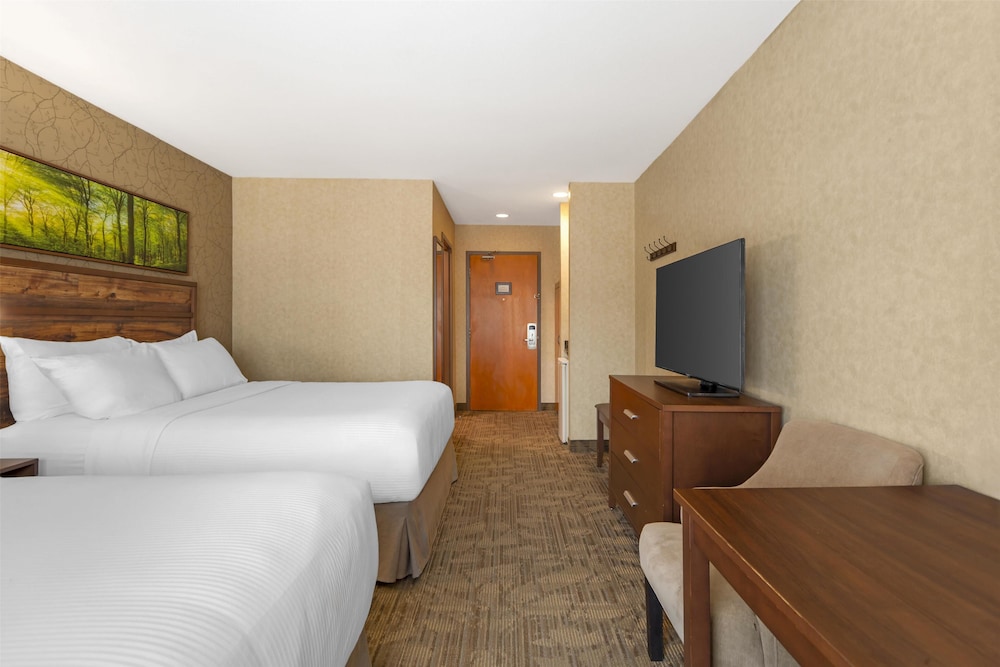 Standard, 2 Queen Beds, Pet Friendly