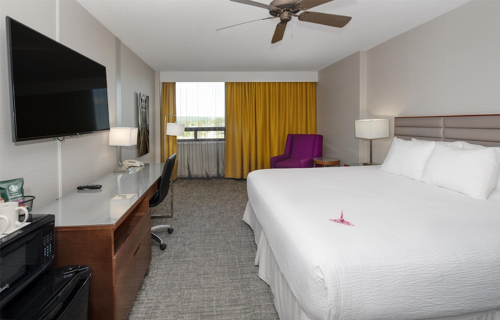 Coast, King Bed