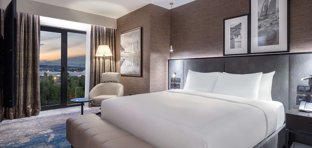 Radisson Hotel Izmir Aliaga 13/68