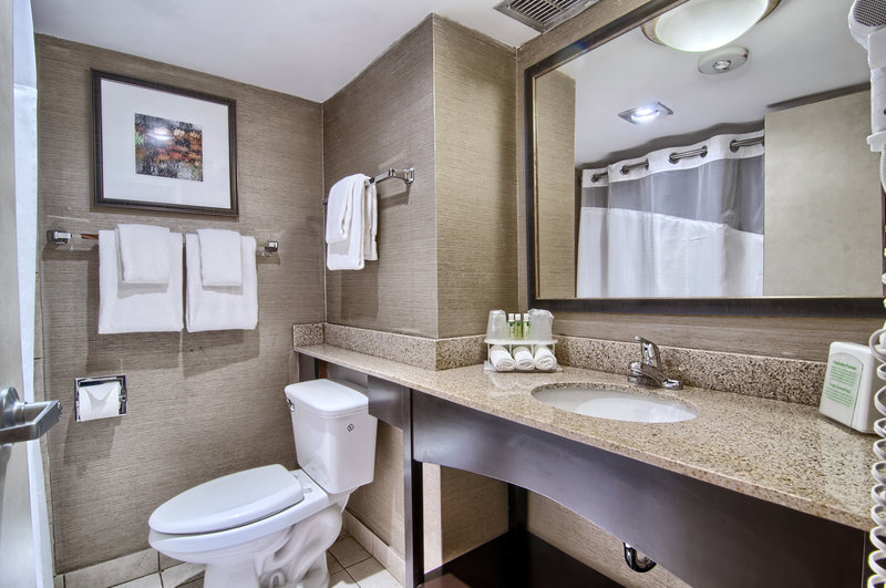Holiday Inn Express Detroit-Birmingham 38/39