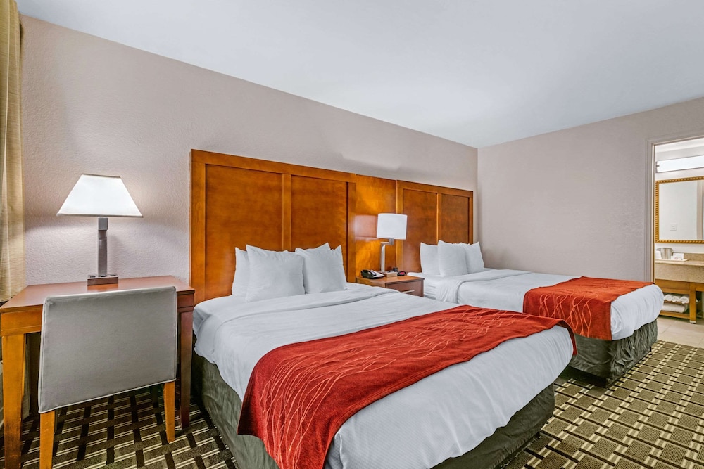 Comfort Inn Downtown Nashville - Music City Center 18/60