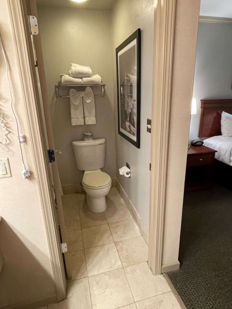 Surestay Plus Hotel By Best Western Mountain View 21/70