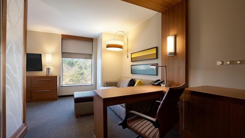 Hyatt Place Houston / The Woodlands 33/64