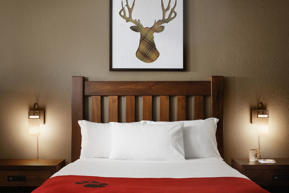 Great Wolf Lodge Williamsburg 29/76