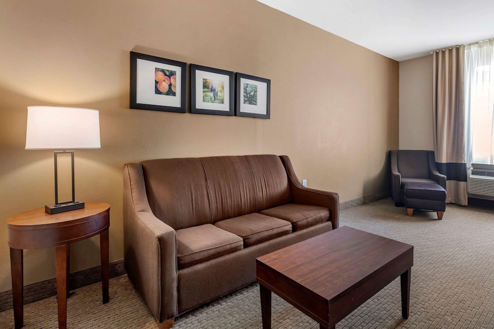 Comfort Inn & Suites Villa Rica, GA 32/47