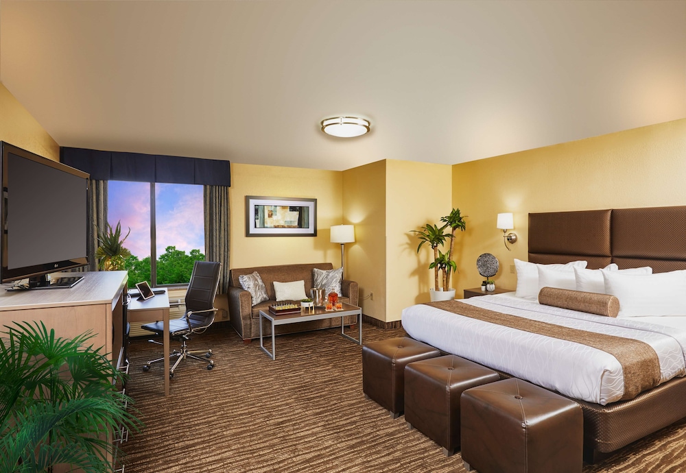 Best Western Plus Hotel Lewisville Flower Mound 11/40