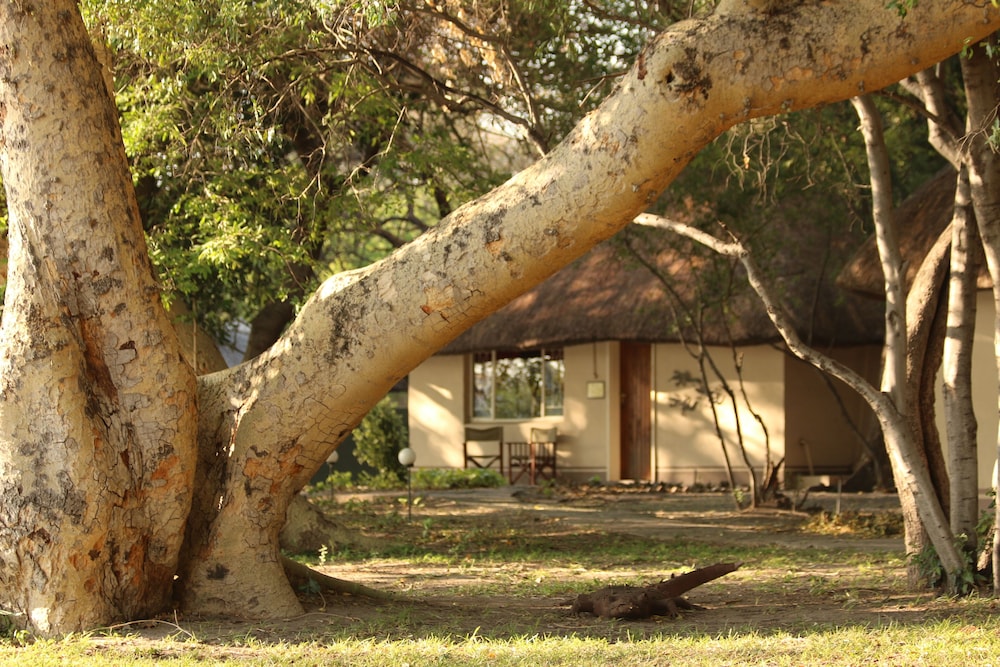Island Safari Lodge 36/50