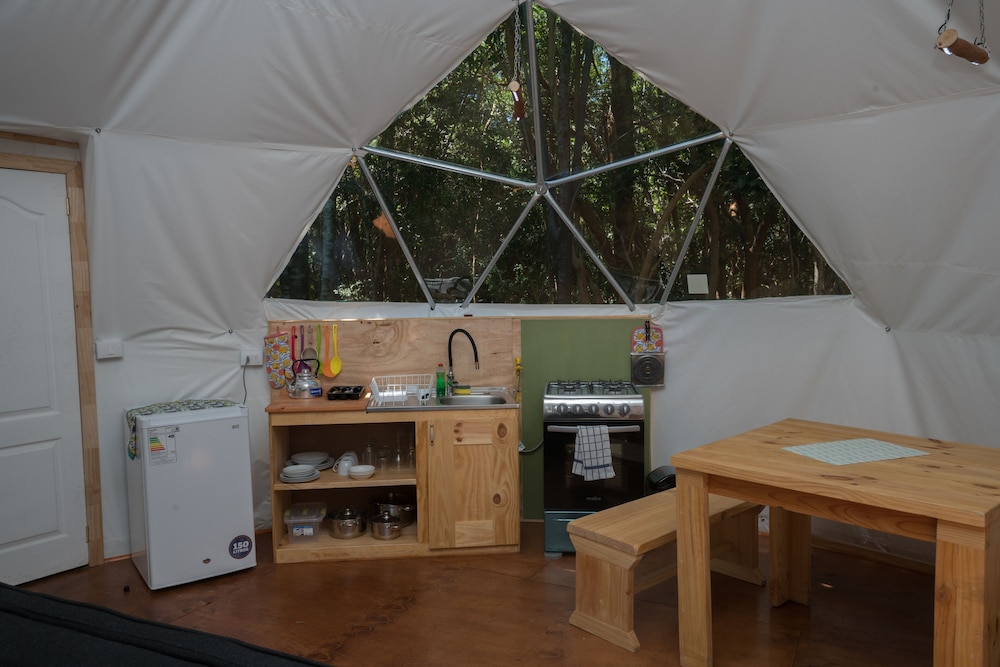 Cabanas Anulen Bosque Nativo 3/49