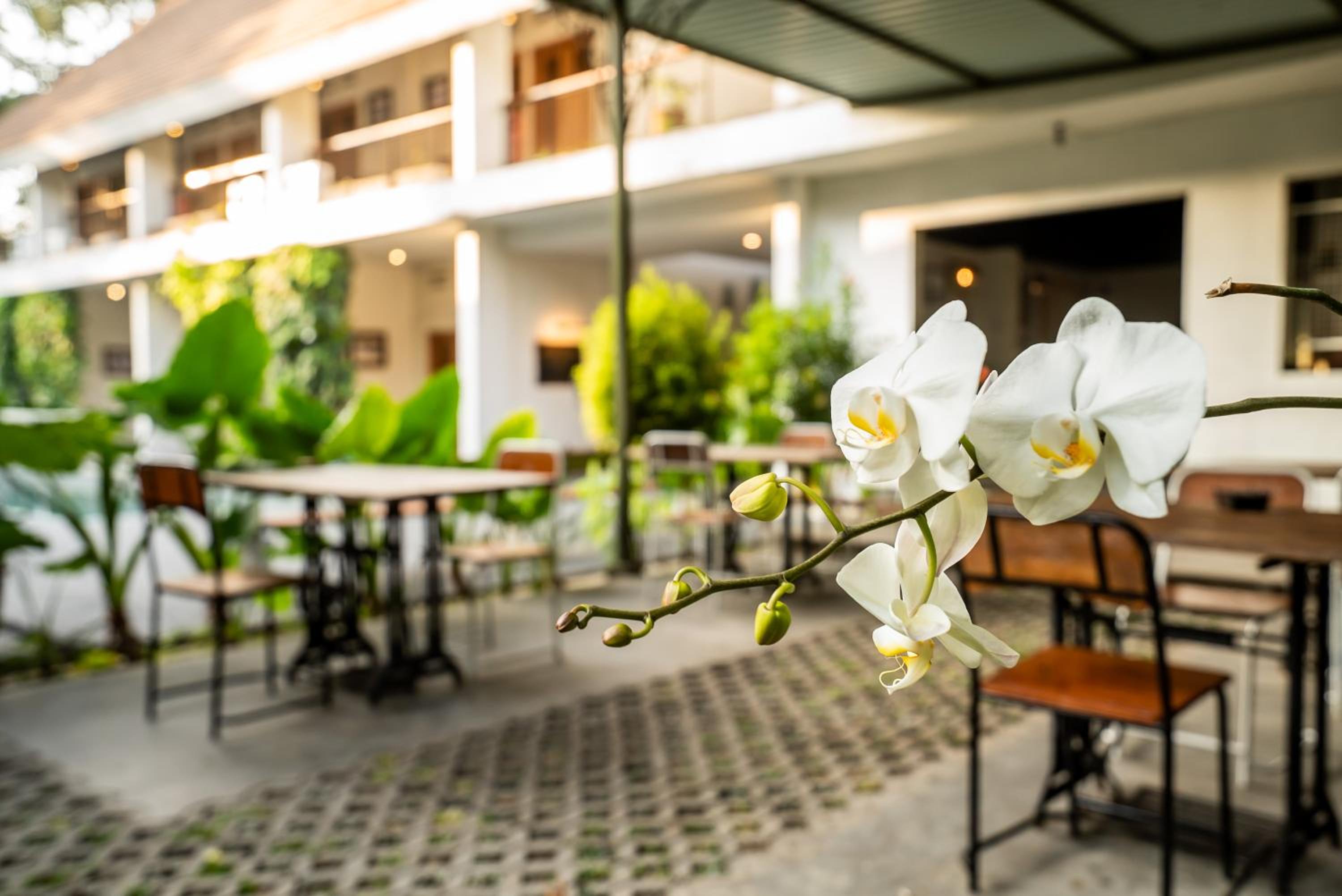 Hotel Blambangan 33/46