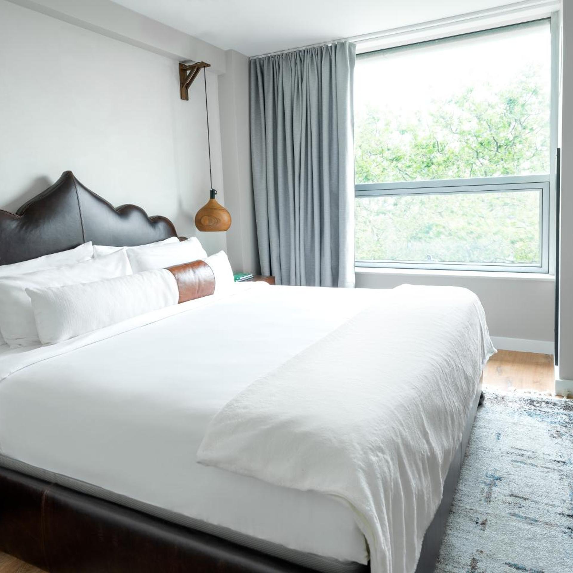 1 Bedroom, Suite, King Bed