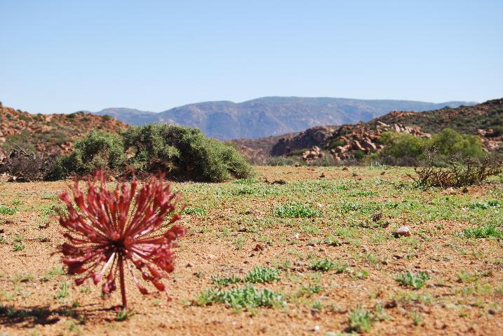 Platbakkies Farm Retreat 22/29