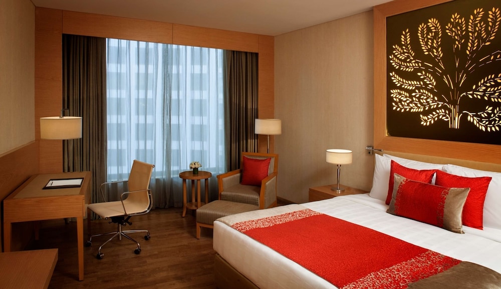 Radisson Blu Hotel, New Delhi Dwarka 11/50