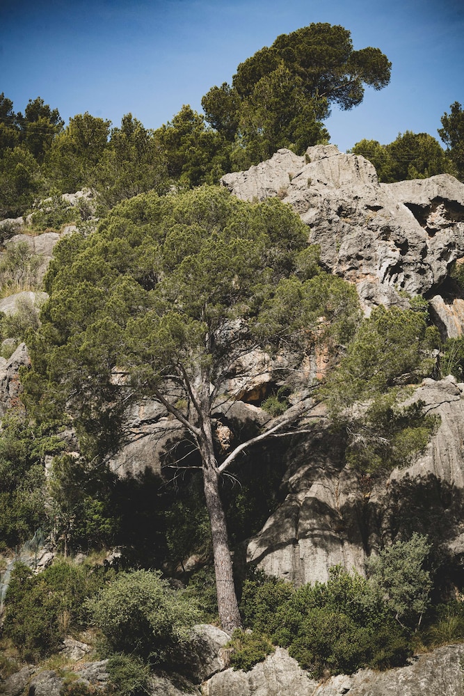 Pure Salt Port de Soller - Adults Only 84/87