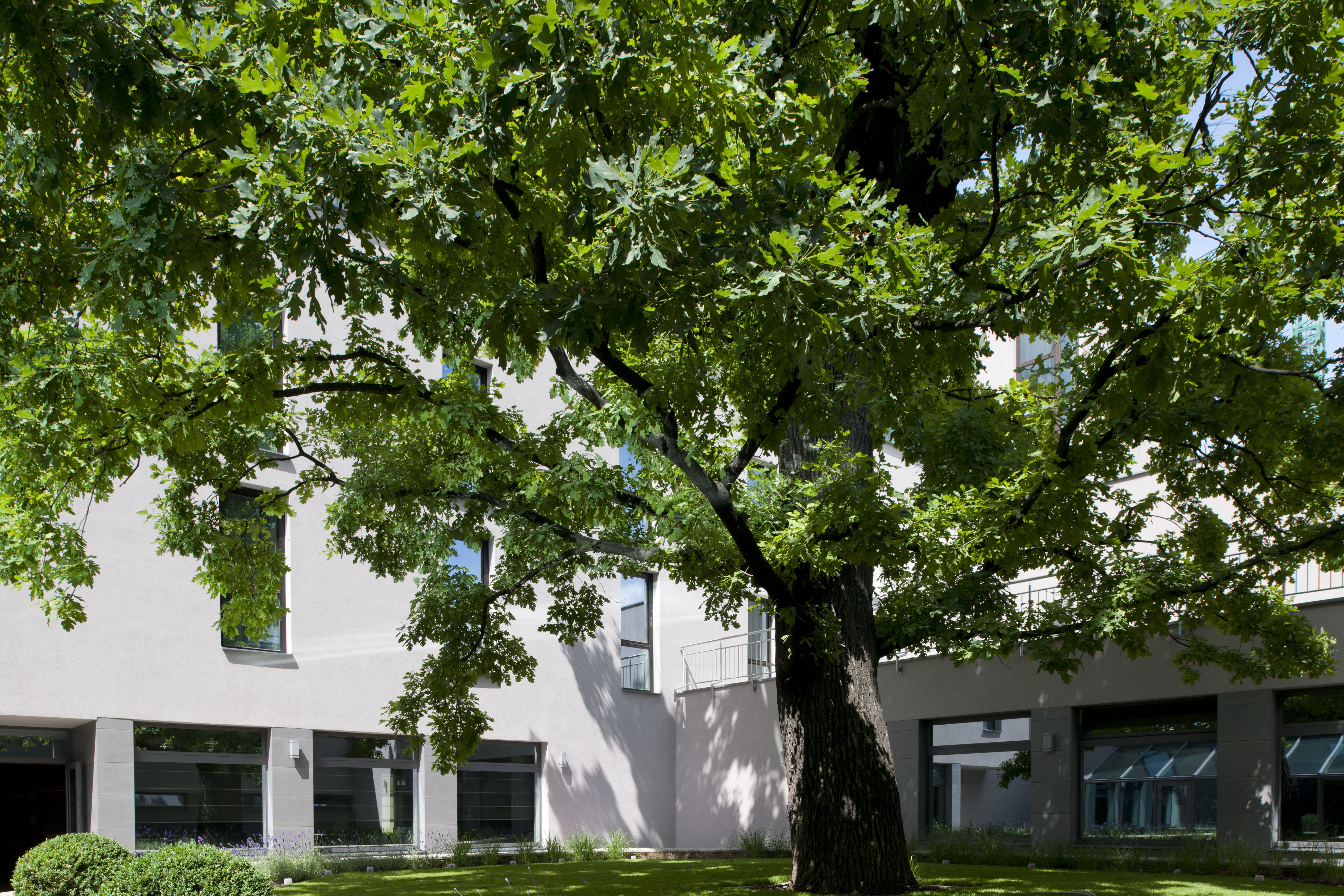 Holiday Inn Trnava 65/66