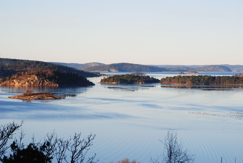 Anfasteröd Gårdsvik 31/50