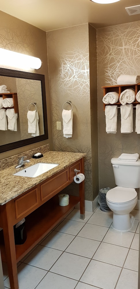 Hampton Inn Pell City 13/42