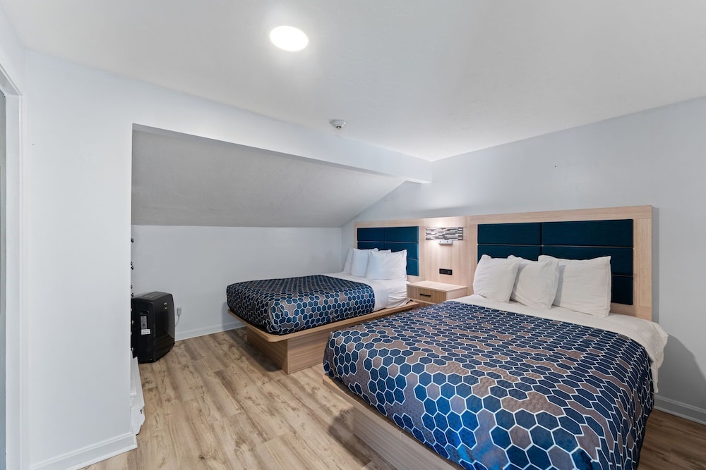 Family, Apartment, King and Twin Beds