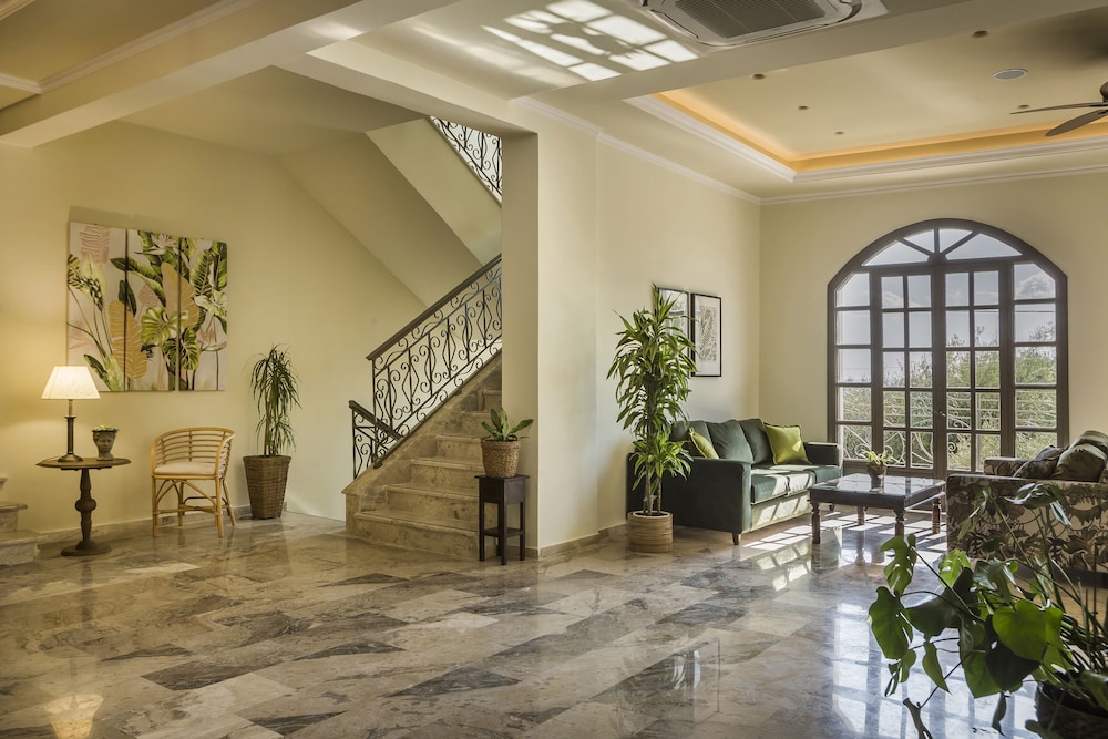拉瑞酒店(La Signora Hotel) 图片5