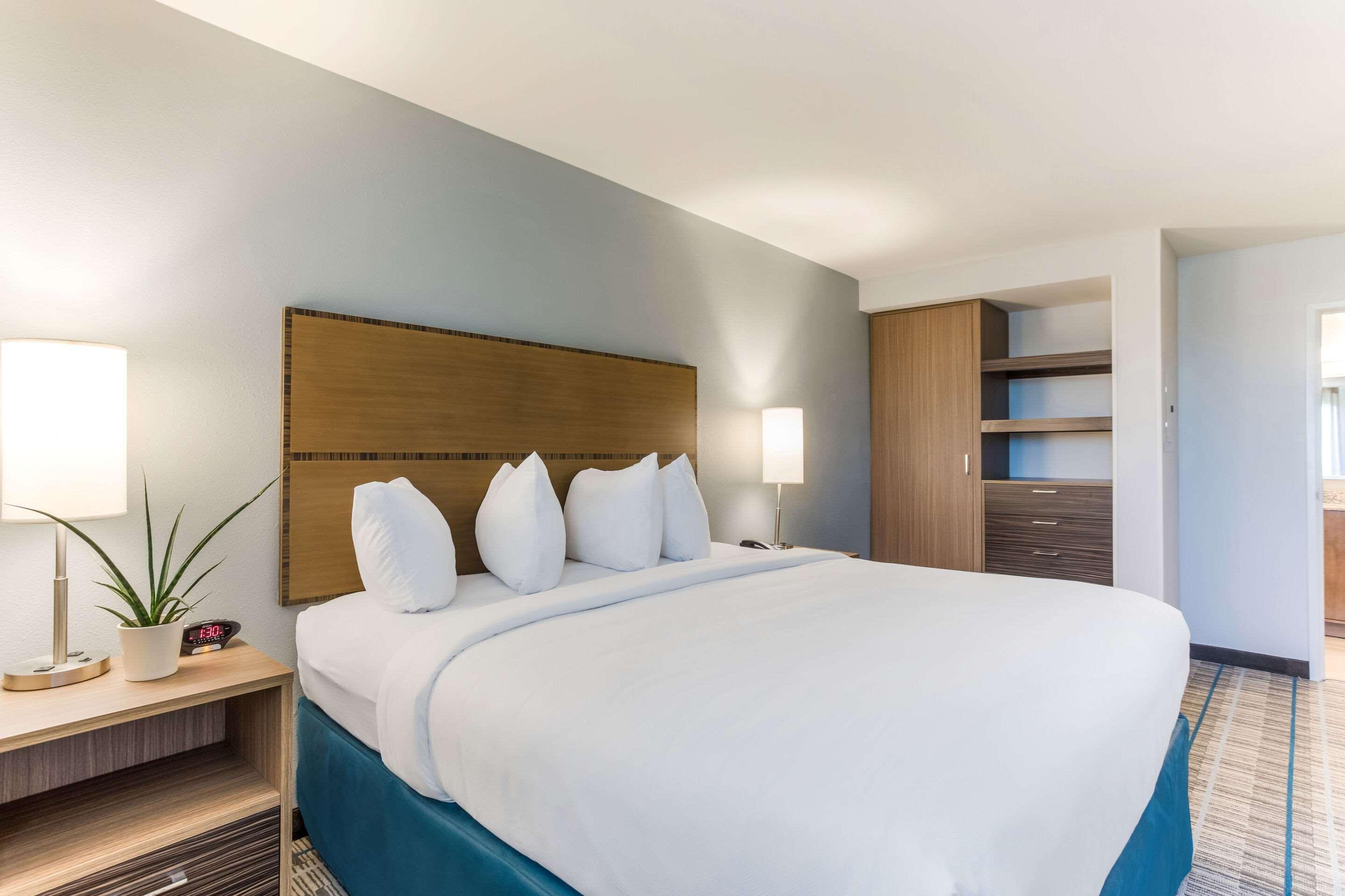SUITE, KING BED