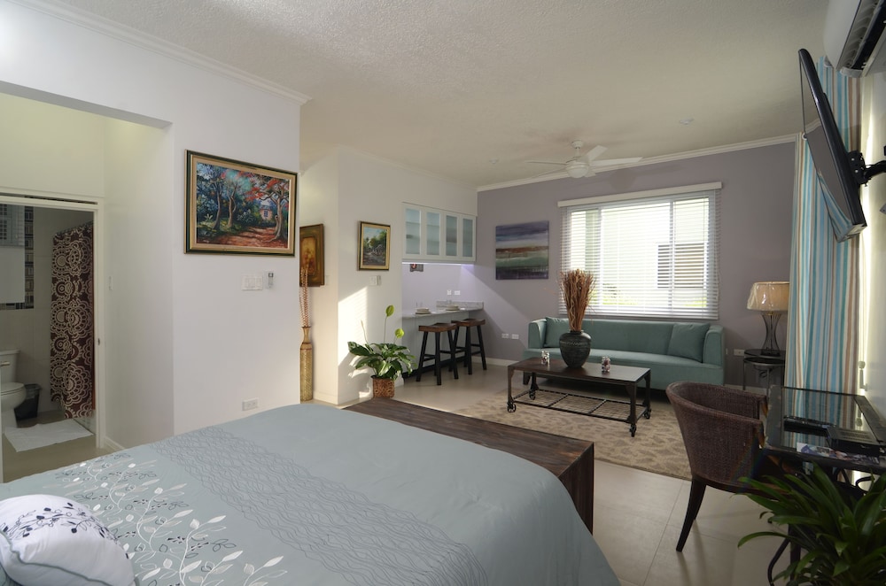 Kingsway New Kingston Guest Apartment Ii 16/45