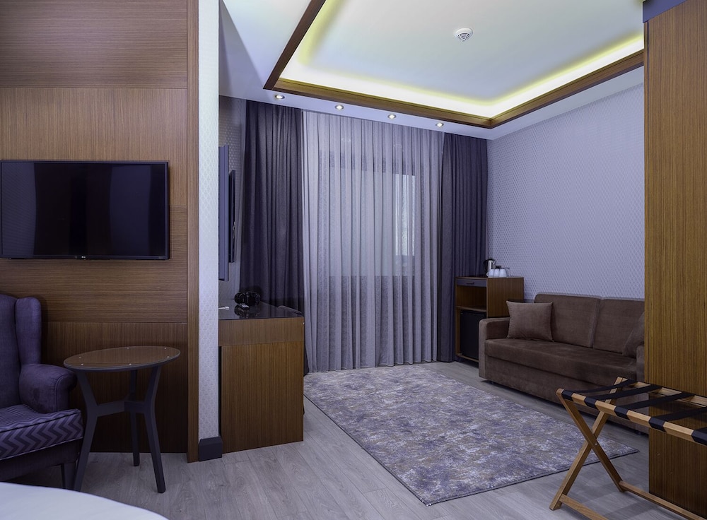 Nova Vista Eskisehir Centrum Hotel, a Member of Radisson Individuals 47/61