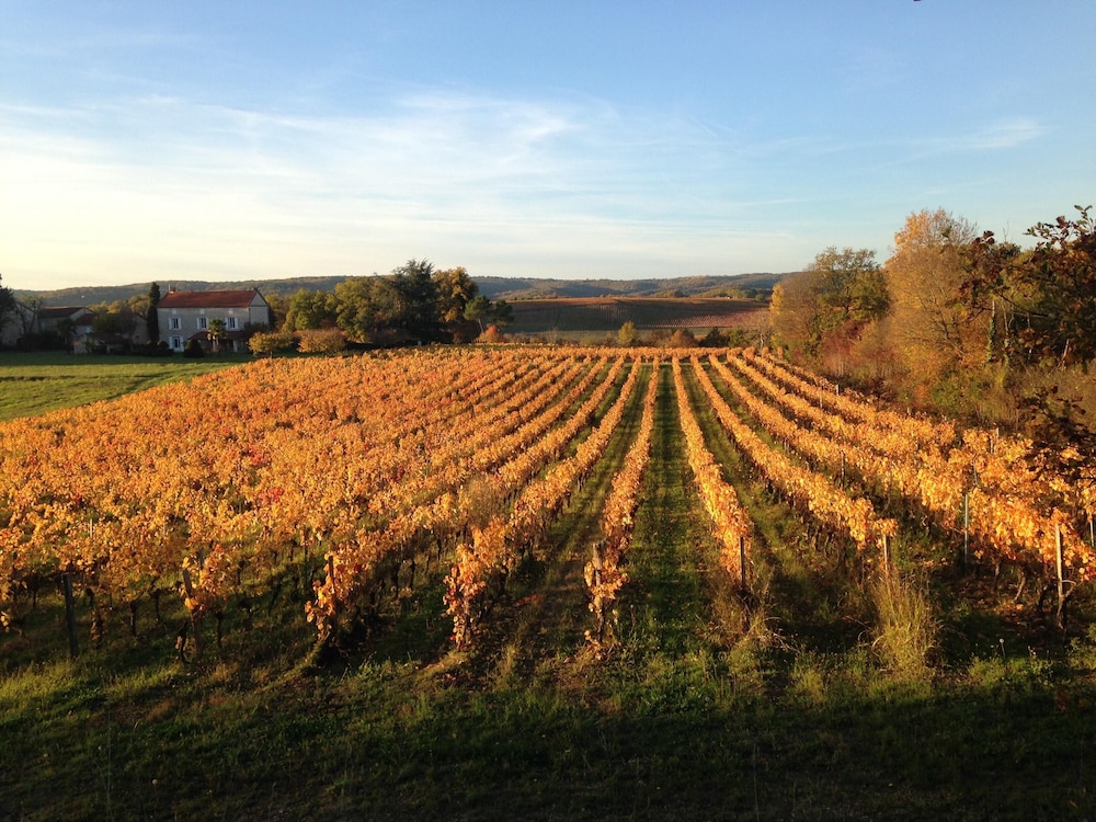 Le Domaine des Cazelles by Ateya Vacances 32/50