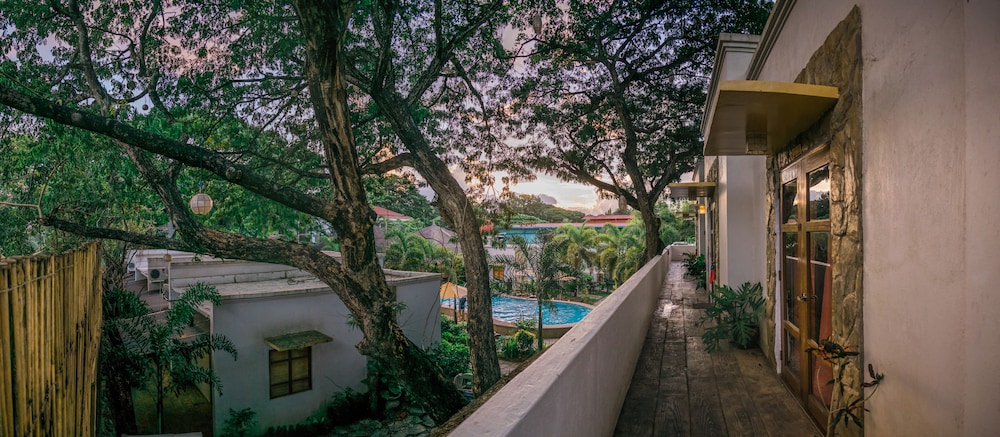 Acacia Tree Garden 61/63