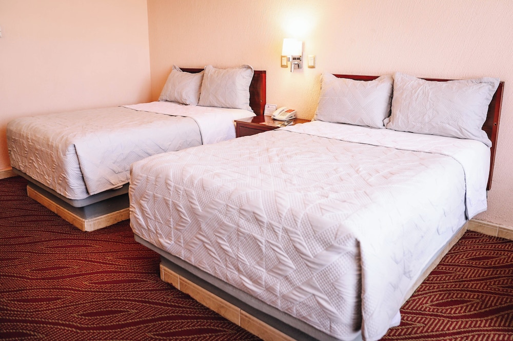 Hotel Real Plaza Aguascalientes 17/71