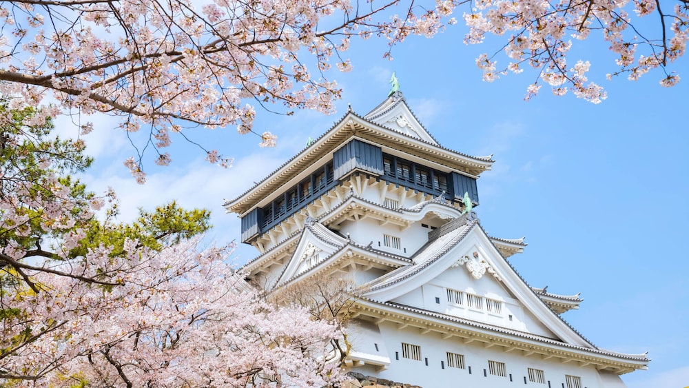 Rihga Royal Hotel Kokura 5/50