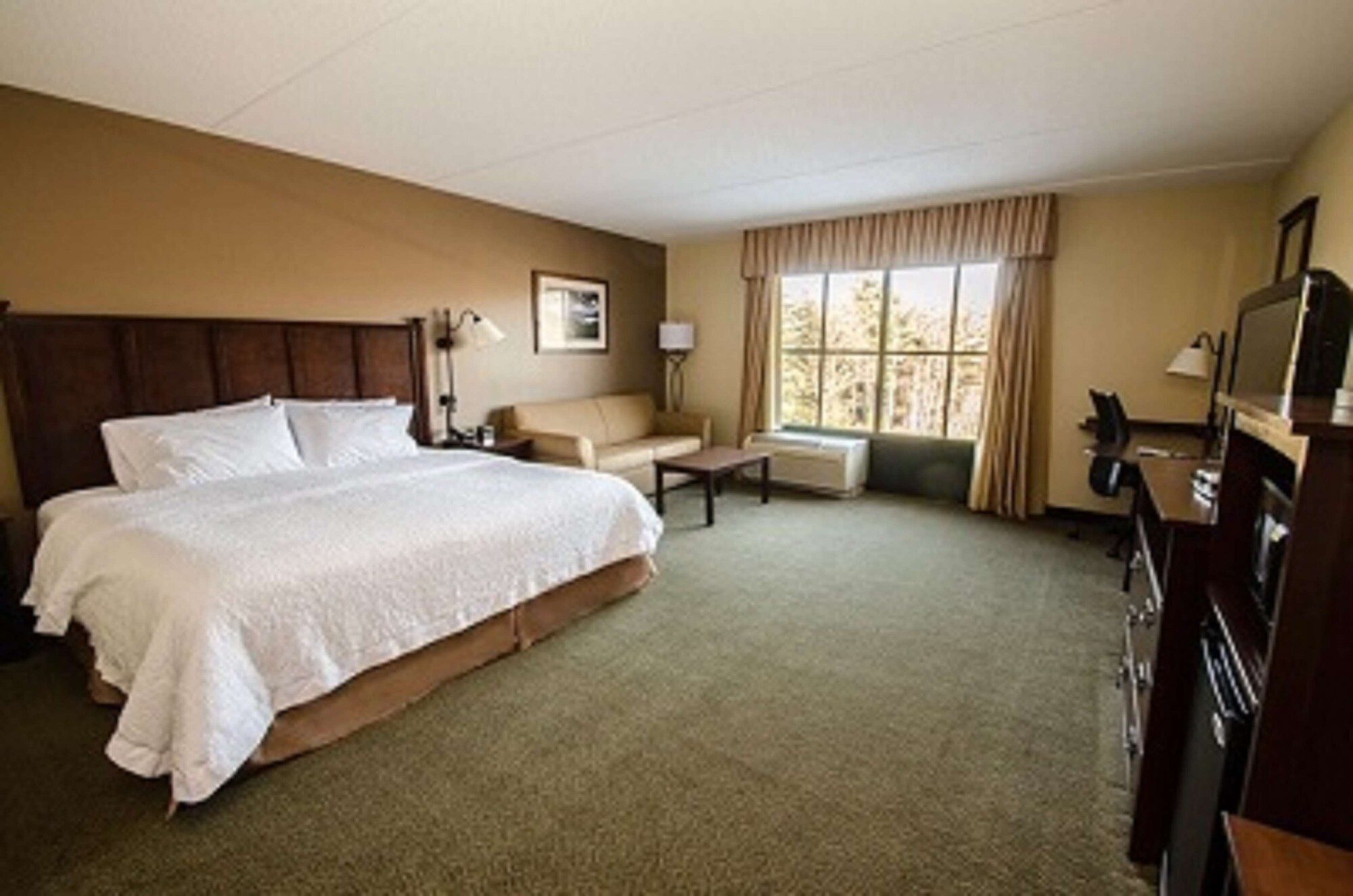 Room, King Bed, Accessible