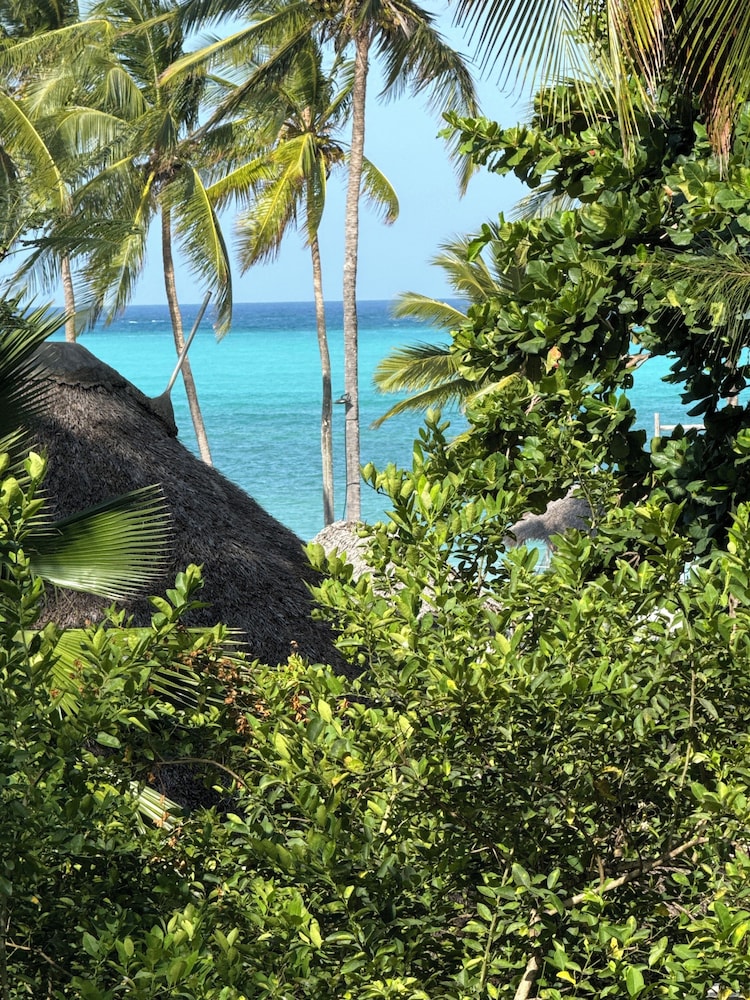Zanzinite Beach Spa Hotel 22/39