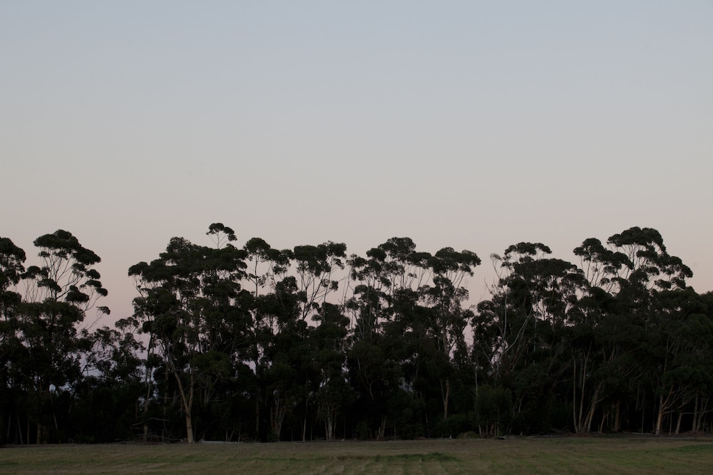 Blue Gum Country Estate 79/89