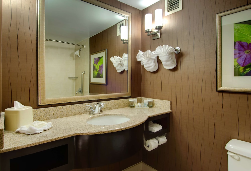 Hilton Garden Inn Raleigh-Durham Airport 13/42
