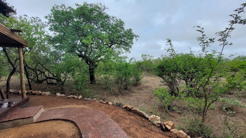 The Baobab Bush Lodge 27/50