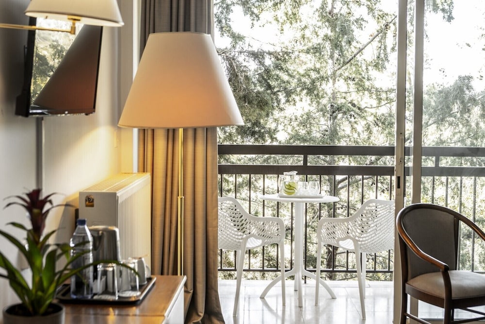 Forest Park Hotel 52/65